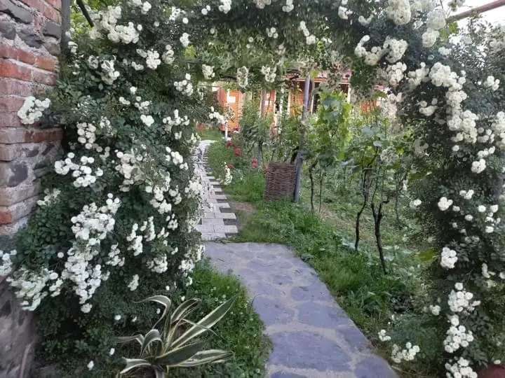 Кварели: Cottage and Gigo Papa's Wine Cellar