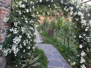Кварели: Cottage and Gigo Papa's Wine Cellar