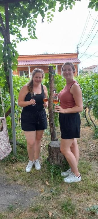 Кварели: Cottage and Gigo Papa's Wine Cellar