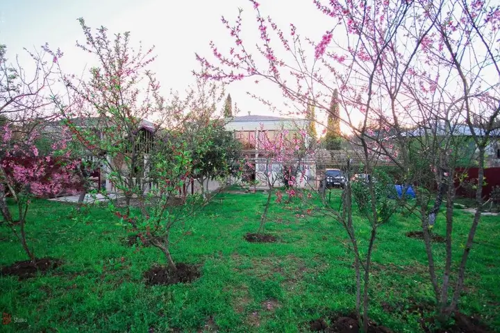 Green Garden Guest House — фото 1
