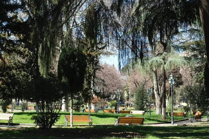 carousel image 4