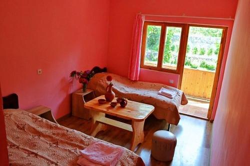 Боржоми: Guest House Aleksandre