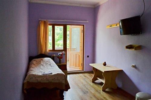 Боржоми: Guest House Aleksandre
