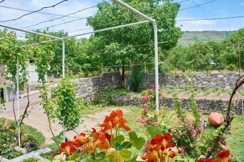 Боржоми: Guest House Aleksandre