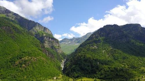 Местиа: Guest House Gogia