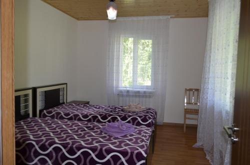 Местиа: Guest House Gogia