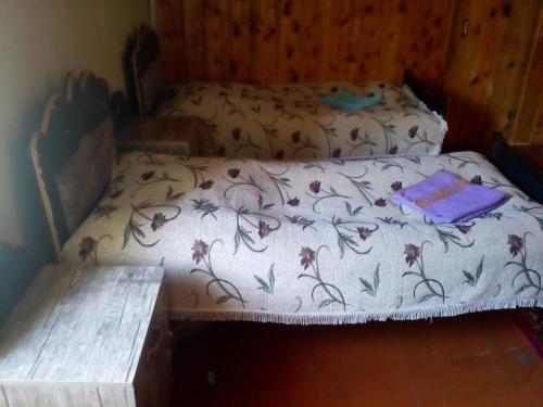 Местиа: Guest House in Zhabeshi Lali