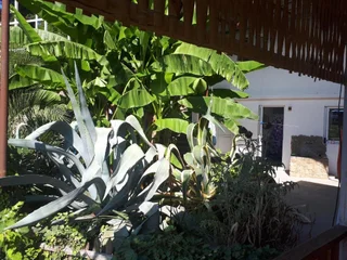 Холодная Речка: U morya Guesthouse