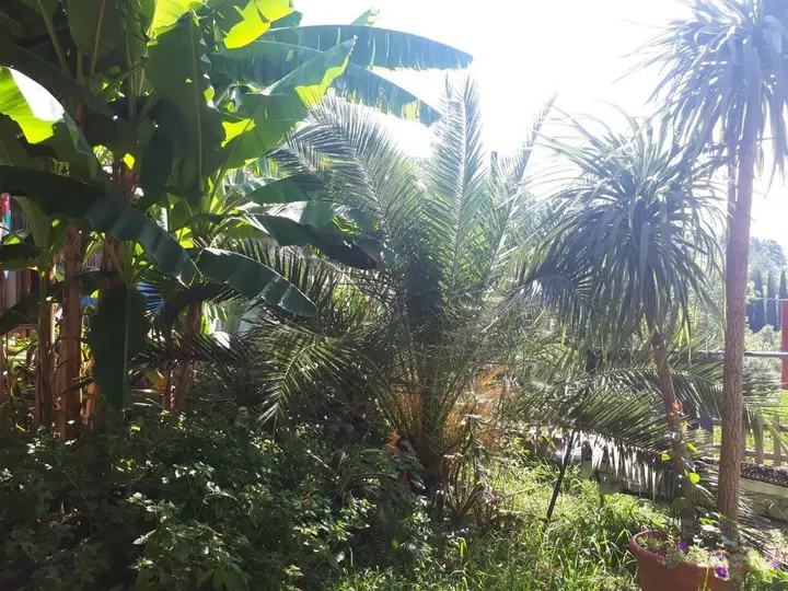 Холодная Речка: U morya Guesthouse