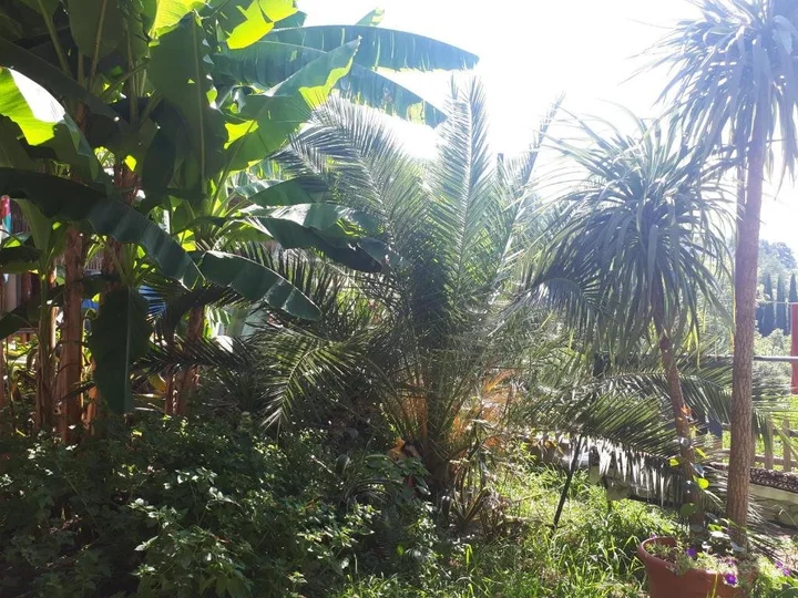 Холодная Речка: U morya Guesthouse