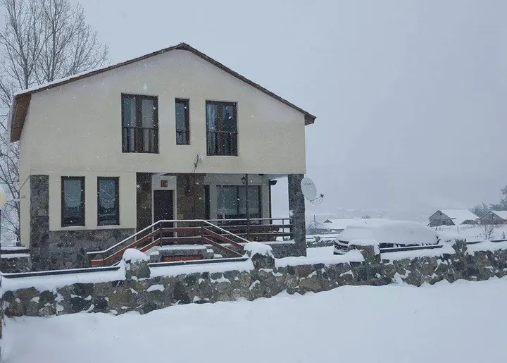 Бакуриани: Tamar's Villa