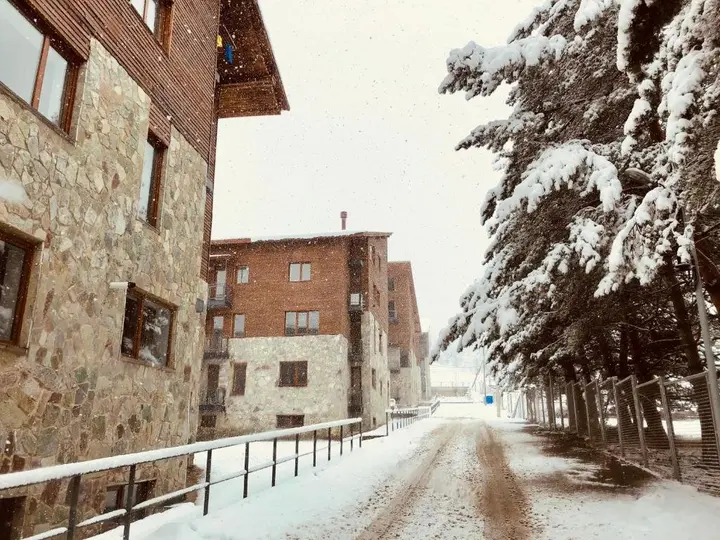 Бакуриани: The Nest in Bakuriani