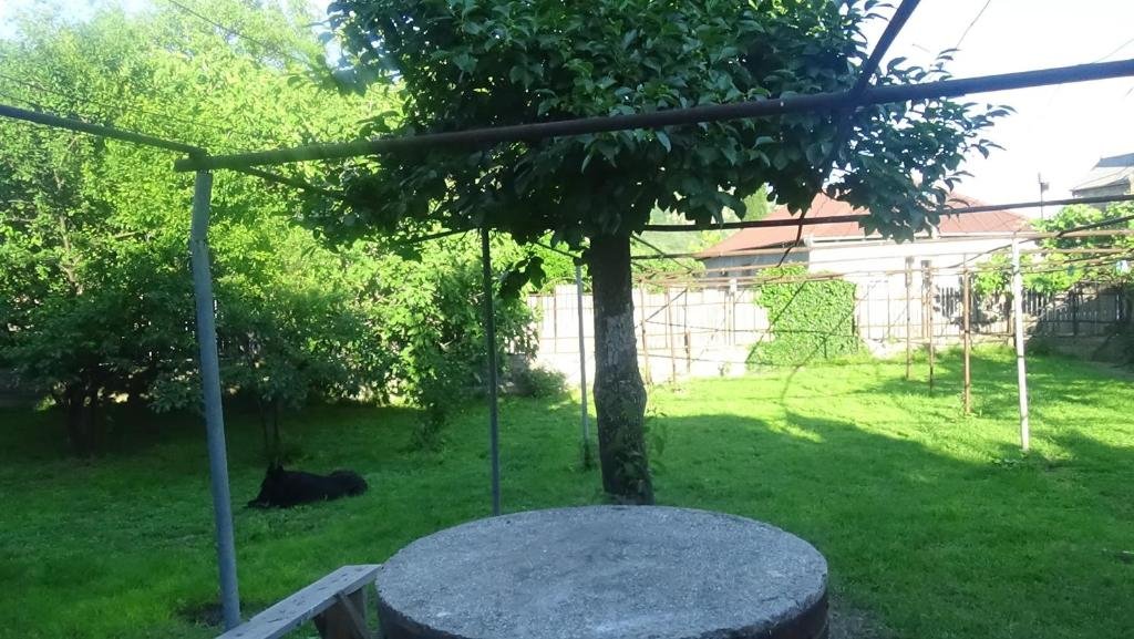 Мцхета: Guest house Ebralidze