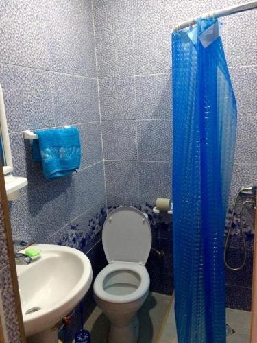 Бакуриани: Family Hotel