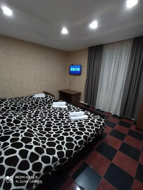 Бакуриани: Hotel Edemi