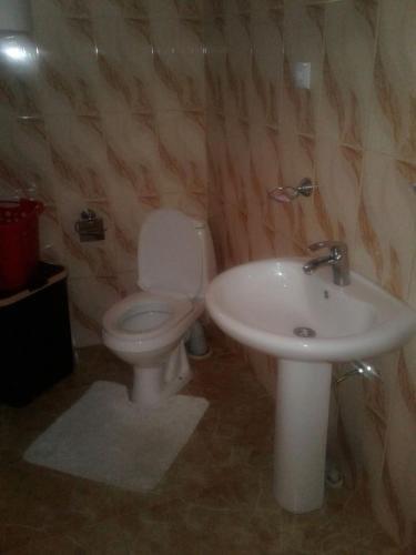Местиа: Guesthouse of Irina