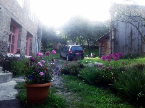 Местиа: Guesthouse of Irina