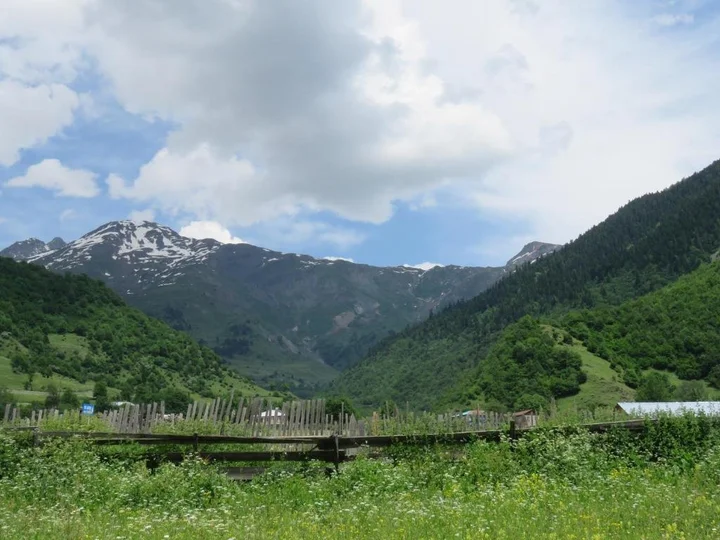 Местиа: Guest House Guli