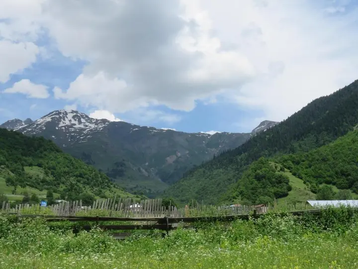 Местиа: Guest House Guli