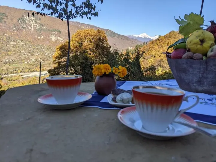 Амбролаури: cottage გორა • Gora