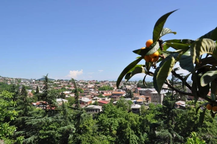 Кутаиси: guesthouse anina