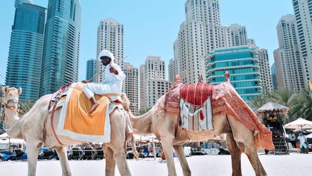 Дубай: JCB Dubai Marina Apartment