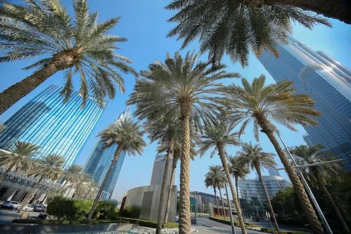 Дубай: Lush & Bright, a Stroll Away From Burj Khalifa