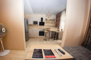 Воронеж: Апартаменты "Atlant Apartments 109"