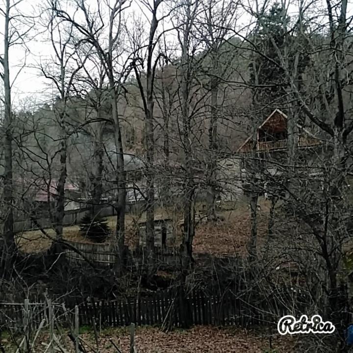 Тбилиси: House Borjomi