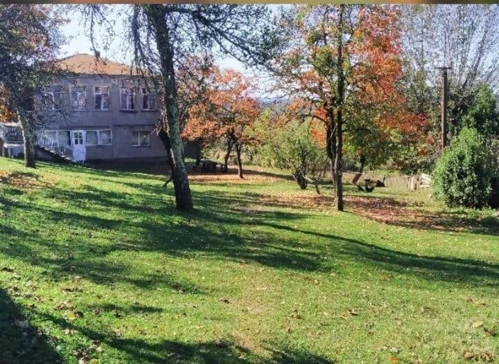Кутаиси: Mida Travel Homestay