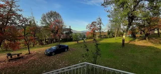 Кутаиси: Mida Travel Homestay