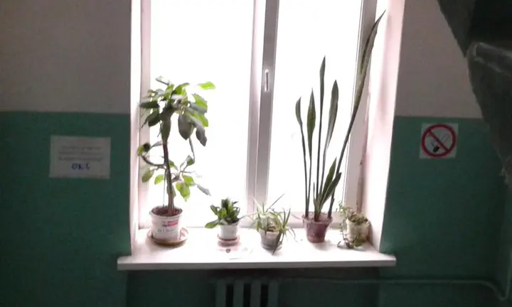 Воронеж: Elena's Apartment
