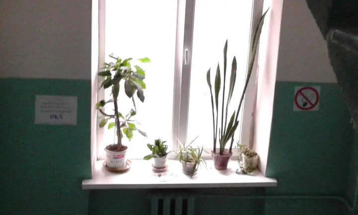 Воронеж: Elena's Apartment