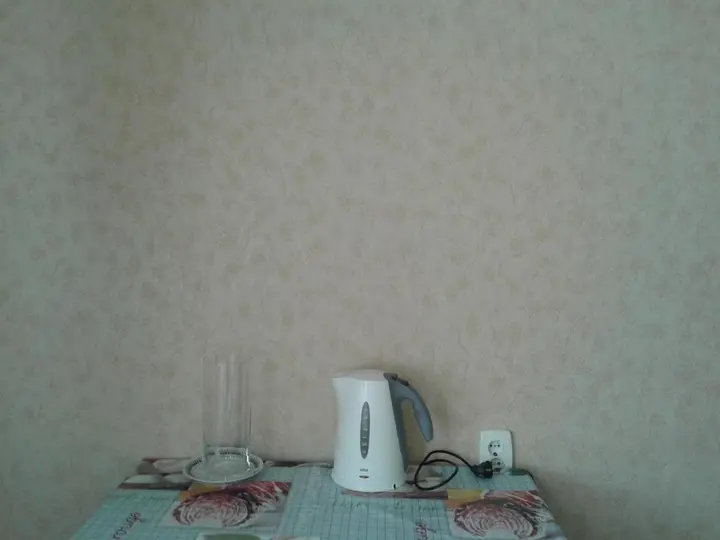 Воронеж: Elena's Apartment