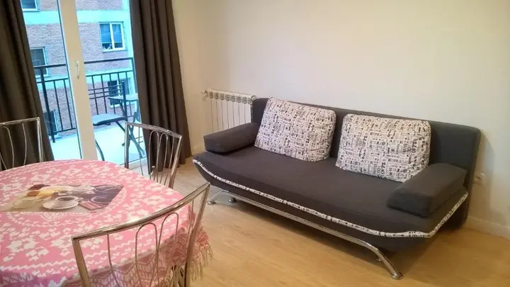 Тбилиси: Apartment on Sandro Euli Street 3