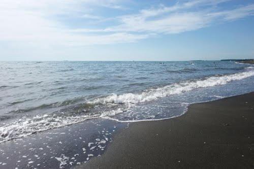 Beach Number 5 — фото 1