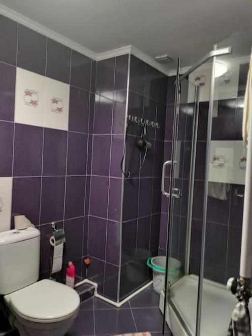 200m apartamenty na pljazhe Ureki dlja otdyha bol'shoj sem'i ili kompanii — фото 4