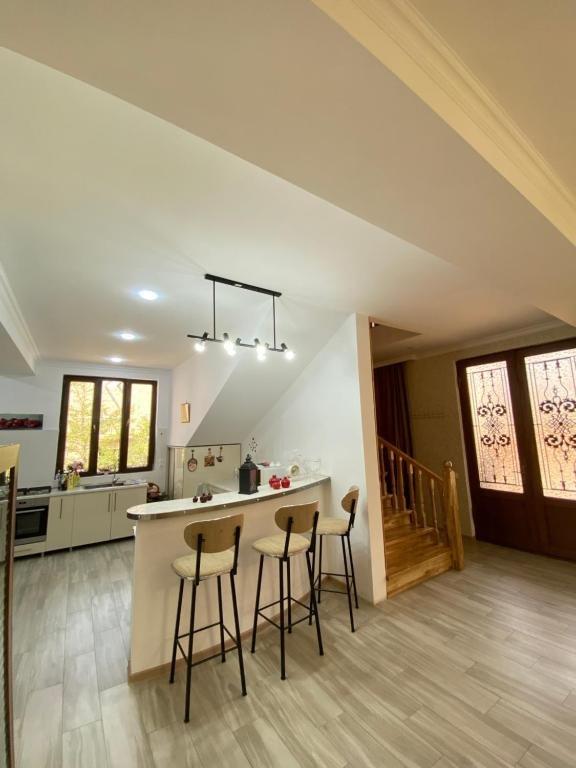 Кутаиси: Andro's Guesthouse
