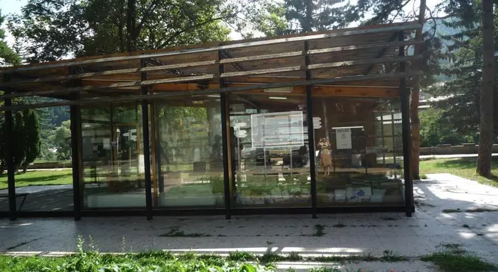Боржоми: Guest House at Gogias Tsikhe