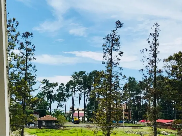 Apollo Plus Cottages — фото 1