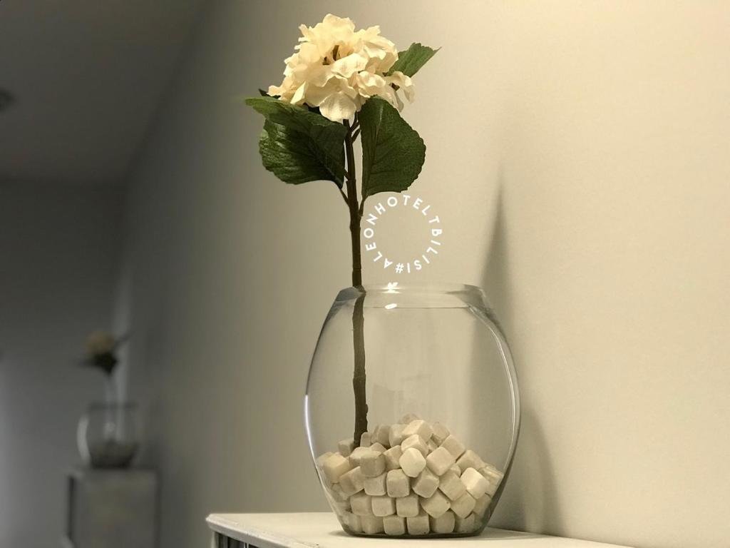 Тбилиси: Aleon Hotel