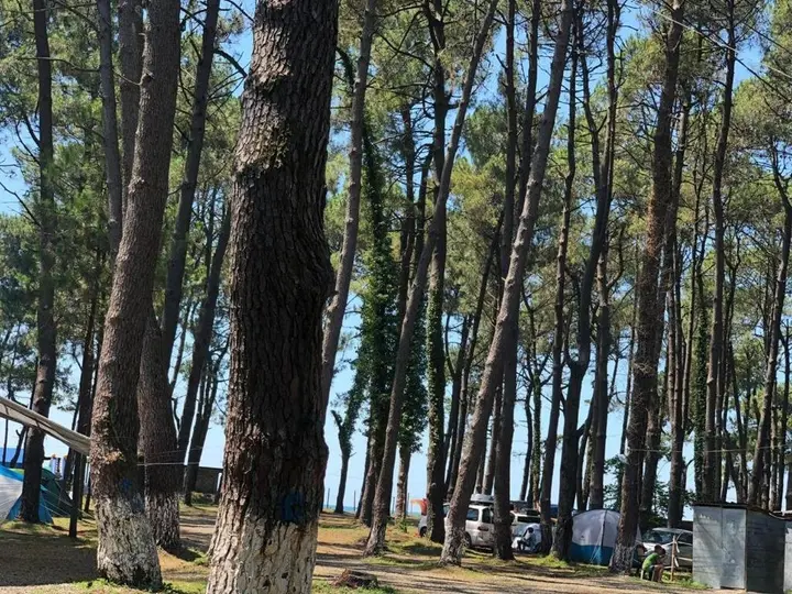 Уреки: Camping Area Ureki