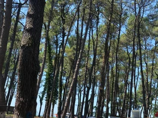Уреки: Camping Area Ureki