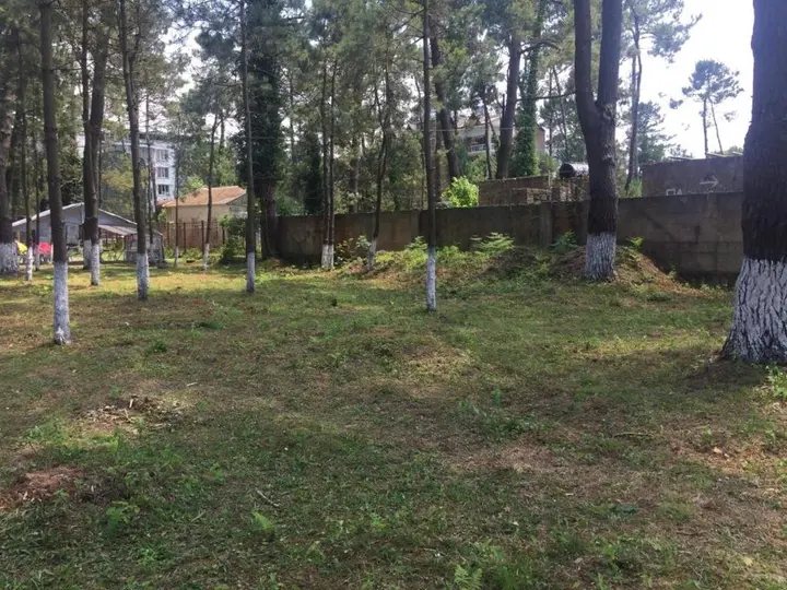 Уреки: Camping Area Ureki