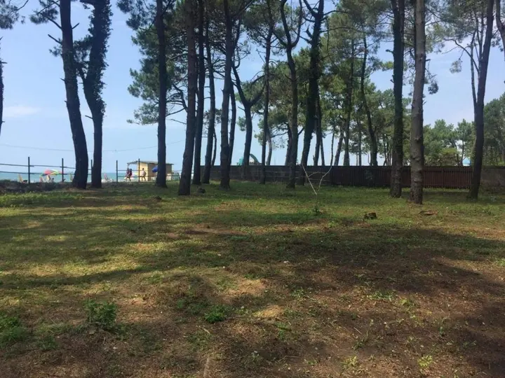 Уреки: Camping Area Ureki