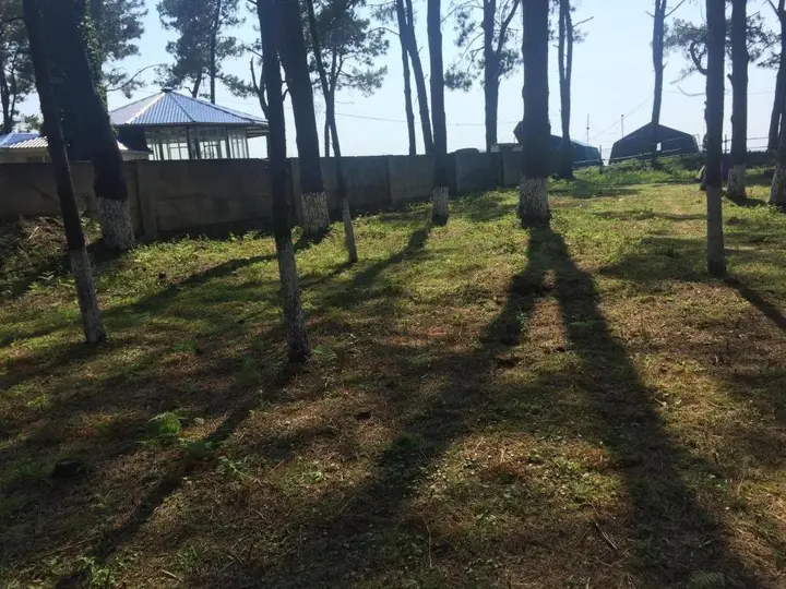 Уреки: Camping Area Ureki