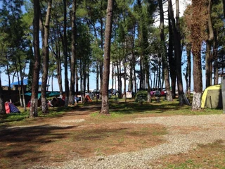 Уреки: Camping Area Ureki
