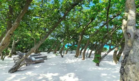 Атолл Баа: Vakkaru Maldives