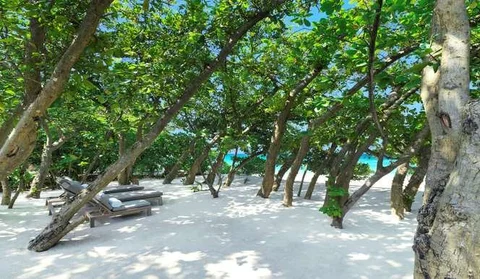 Атолл Баа: Vakkaru Maldives