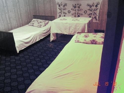hostel nazi AND gurami — фото 3